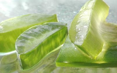 Prendre soin de ses cheveux en utilisant de l’aloe vera