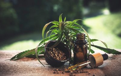 Les bienfaits du CBD qu’il ne faut pas négliger pour votre santé