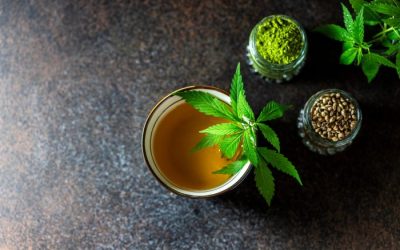 Révolution végétale : le CBD, l’anti-stress naturel
